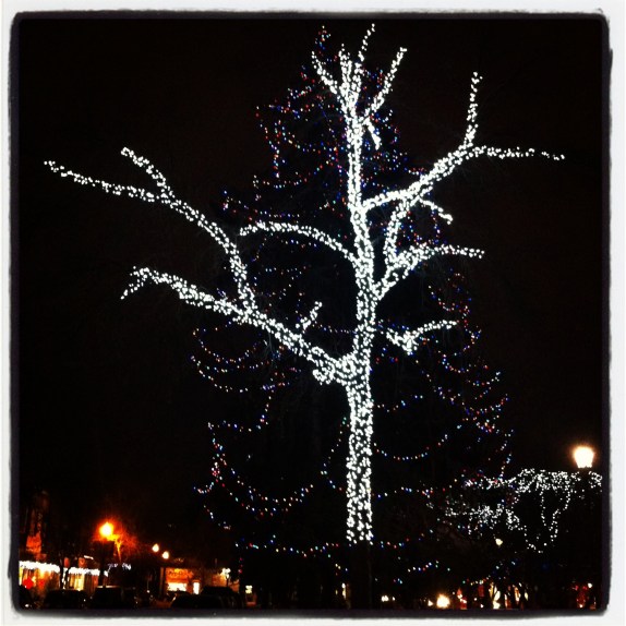 Christmas lights in a park near where I live in Calgary. 
