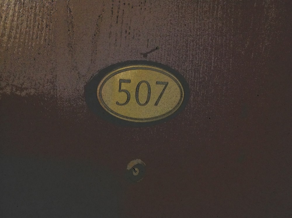 This is the door to my apartment. 507. Sometimes I wonder when I shut the door if another entity identical to myself takes over and lives his life in there. What if I open the door suddenly and see myself sitting at my table drinking a coffee working on my computer? What then? Best to move on . . .