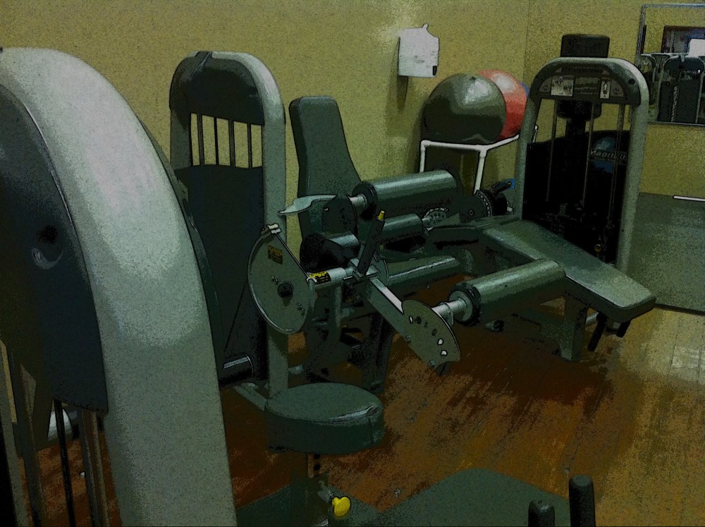 I worked out on machines similar to this. Ouch. Oooooo. Eeeee. Eeeek. Why? WTF? Actually it feels good. I lost 4 pounds this week. At this rate, in a few months I will have disappeared! Will I think I look good then?