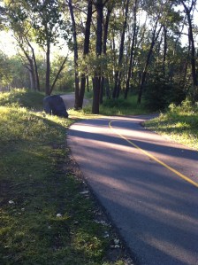 Typical daily traffic on my blog. And a section of Calgary's beautiful bike path system.
