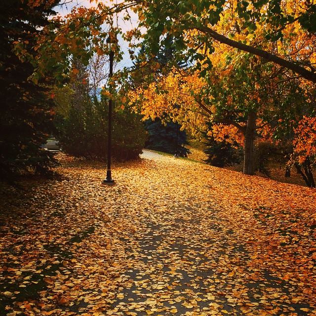 It's a beautiful world after all. Kinda. 